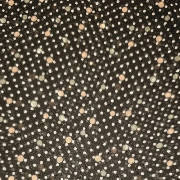 CAbi Sheer Blouse/Shirt - Size XS - Black/Pink Polka Dots - Picture 3 of 4